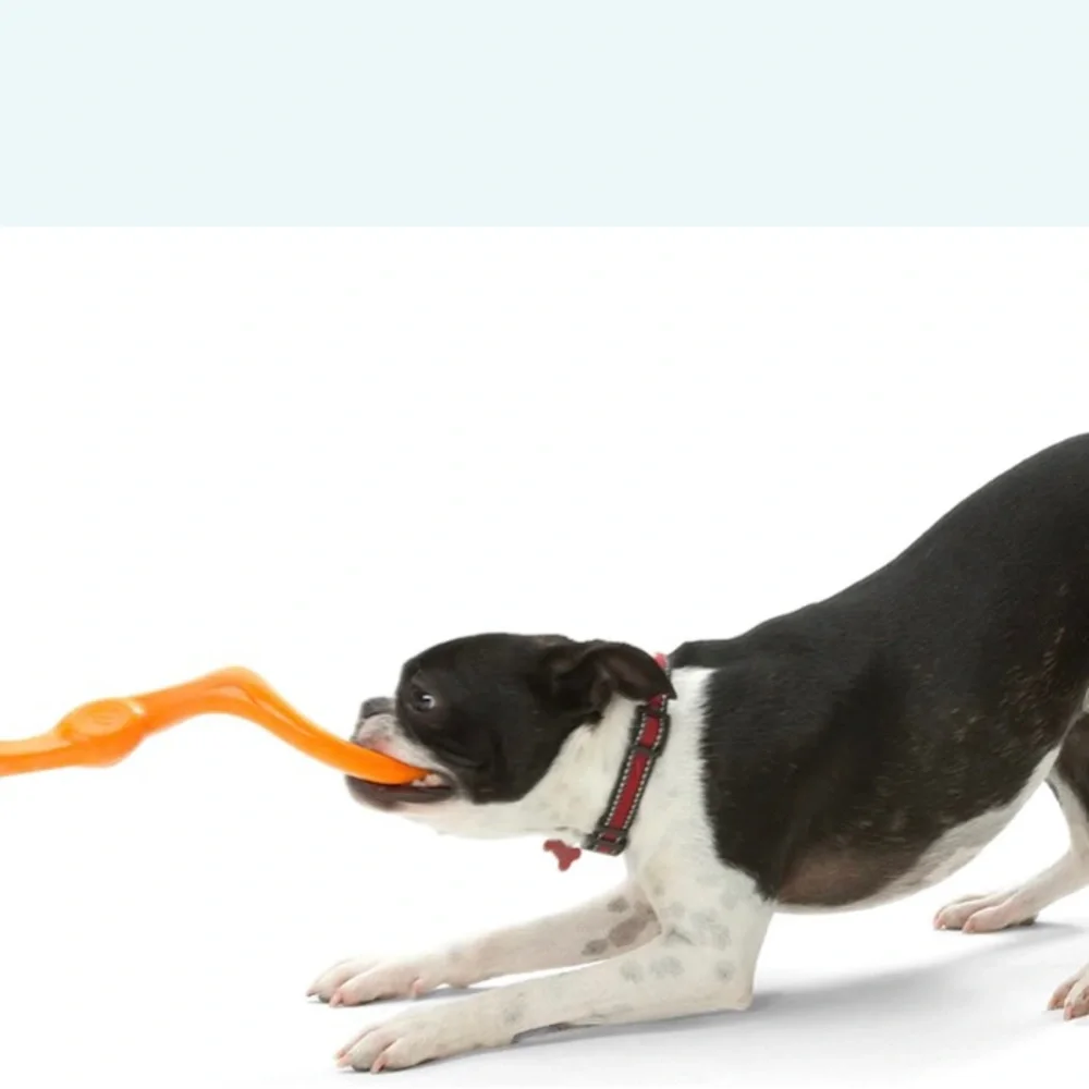 Bümi Zogoflex Dog Chew/Tug Toy by West Paw-Aqua Blue (L)